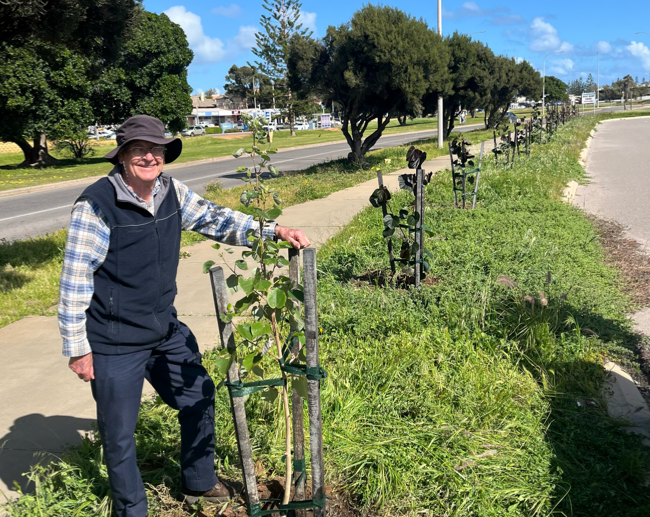 Grow trees and&nbsp;friends
