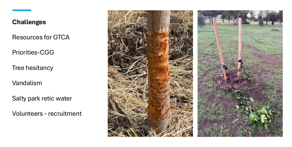 Challenges: resources, CGG, tree hesitancy, vandalism, salty park water, recruitment of volunteers